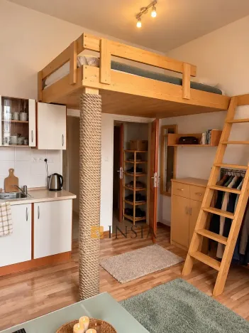 Prodej bytu 1+kk, Plzeň - Východní Předměstí, Koterovská, 25 m2