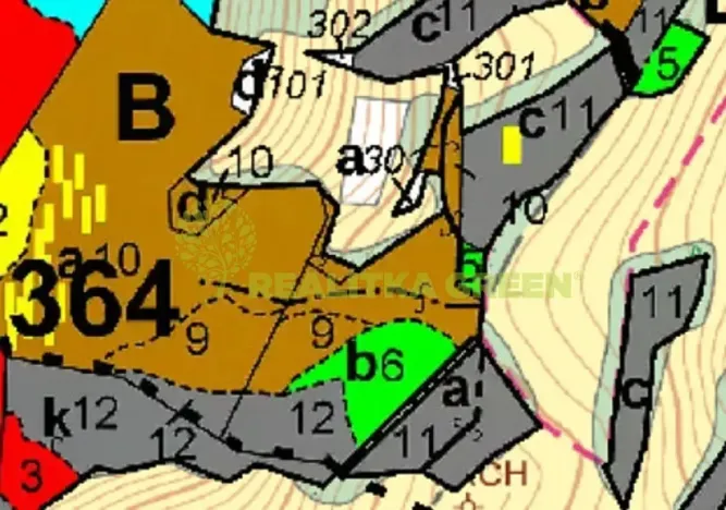 Prodej lesa, Pozděchov, 14279 m2