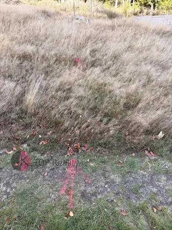 Prodej rodinného domu, Litvínov, 115 m2