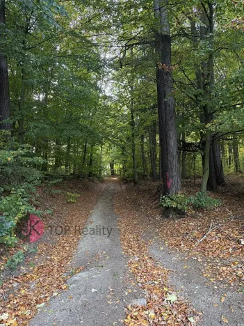 Prodej rodinného domu, Litvínov, 115 m2