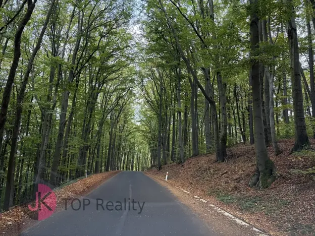 Prodej rodinného domu, Litvínov, 115 m2