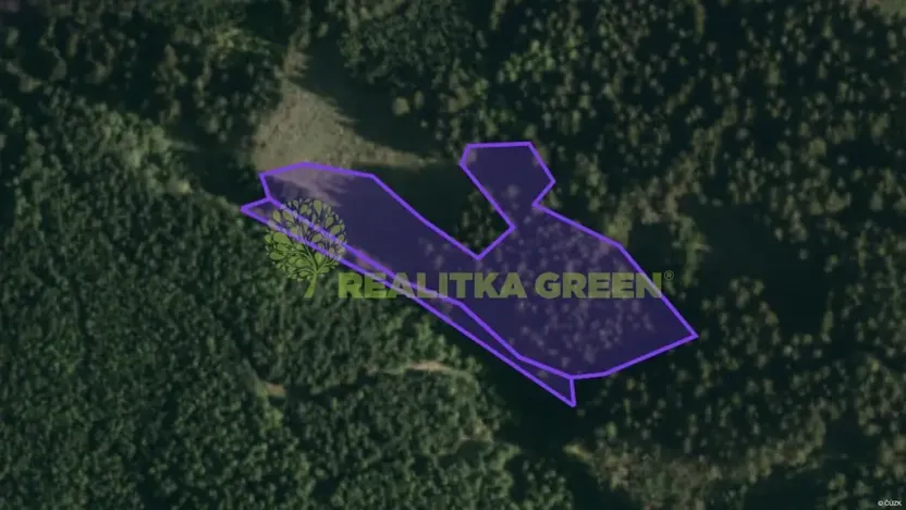 Prodej lesa, Hovězí, 9912 m2