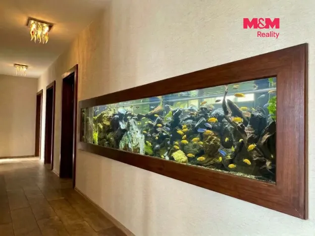 Prodej rodinného domu, Cejle, 296 m2
