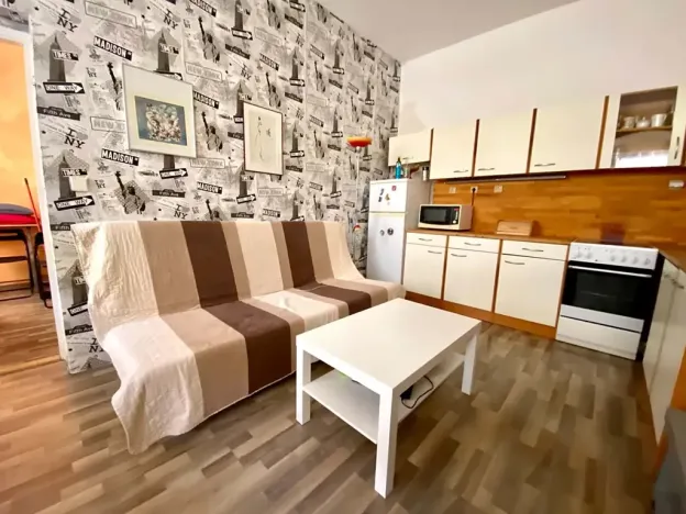 Pronájem bytu 1+1, Brno, Pekařská, 28 m2