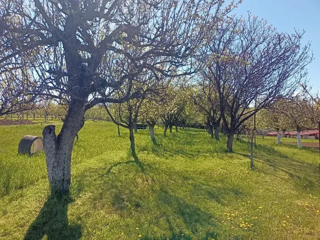 Prodej rodinného domu, Bojkovice, 190 m2