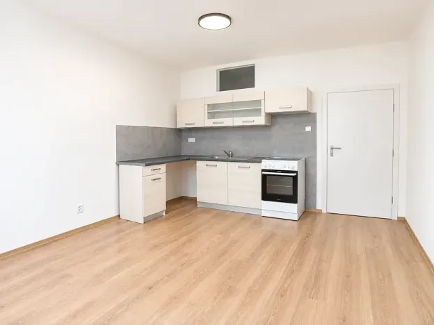 Prodej bytu 1+1, Brno, Bělohorská, 53 m2