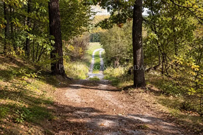 Prodej ubytování, Benešov nad Černou, 217 m2