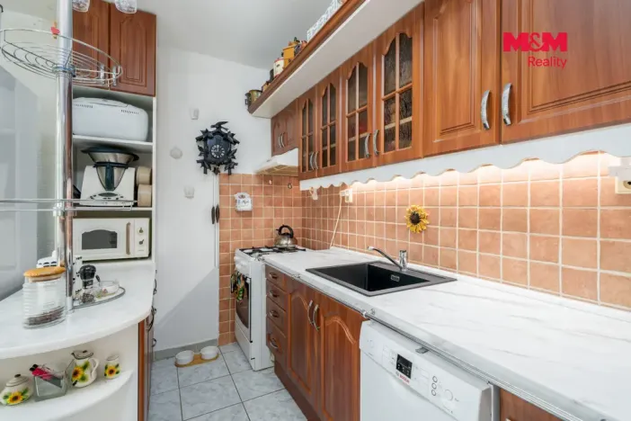 Prodej bytu 2+kk, Litoměřice - Předměstí, Kosmonautů, 67 m2