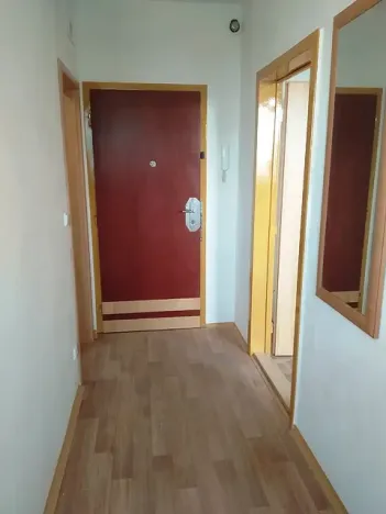 Pronájem bytu 1+1, Olomouc, Nešporova, 36 m2