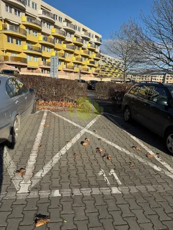 Pronájem garážového stání, Olomouc, Okružní, 12 m2