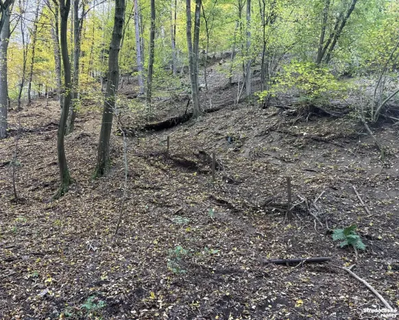 Prodej pozemku pro bydlení, Štěchovice, 852 m2