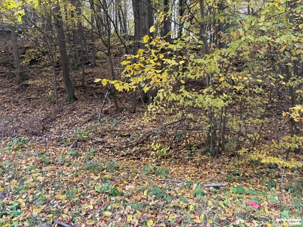 Prodej pozemku pro bydlení, Štěchovice, 852 m2