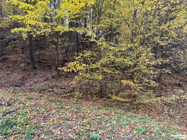 Prodej pozemku pro bydlení, Štěchovice, 852 m2