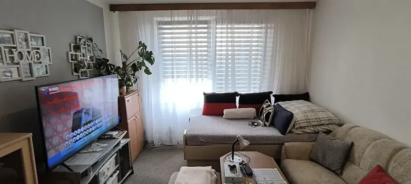 Prodej bytu 1+1, Aš, Dlouhá, 37 m2