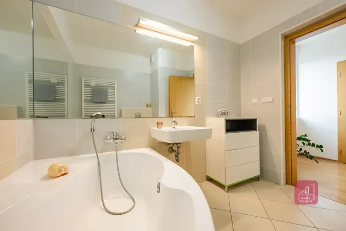 Prodej bytu 3+kk, Brno, Leskauerova, 110 m2