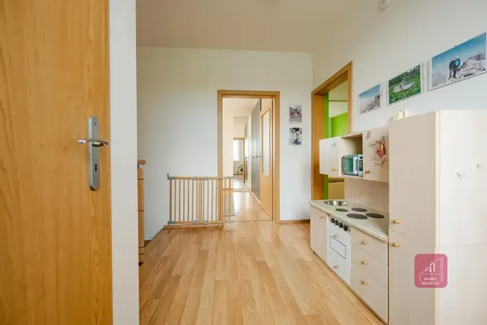 Prodej bytu 3+kk, Brno, Leskauerova, 110 m2