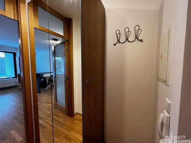 Pronájem bytu 1+kk, Dolní Břežany, Náměstí Na Sádkách, 40 m2