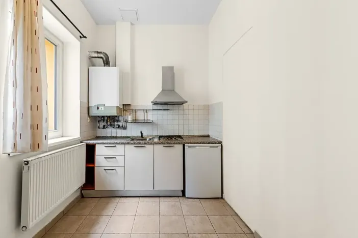 Prodej bytu 2+1, Praha - Žižkov, Bořivojova, 77 m2