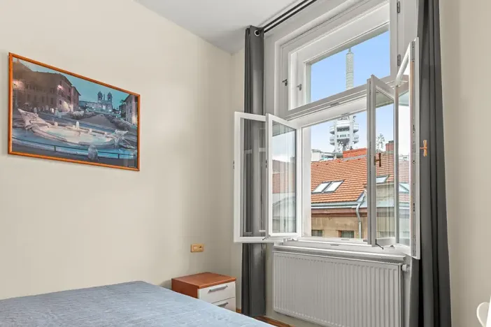 Prodej bytu 2+1, Praha - Žižkov, Bořivojova, 77 m2