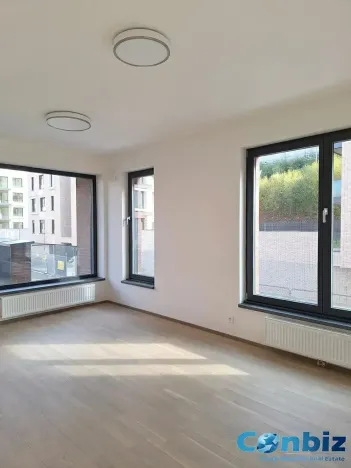 Pronájem bytu 2+kk, Praha - Karlín, Švarcova, 57 m2