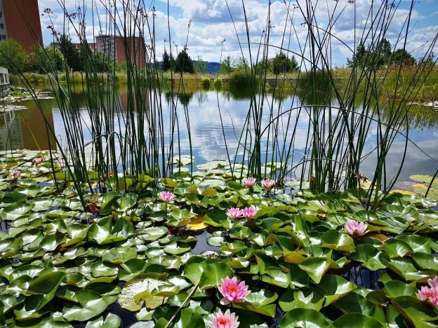 Pronájem bytu 2+kk, Zlín, Podlesí II, 72 m2